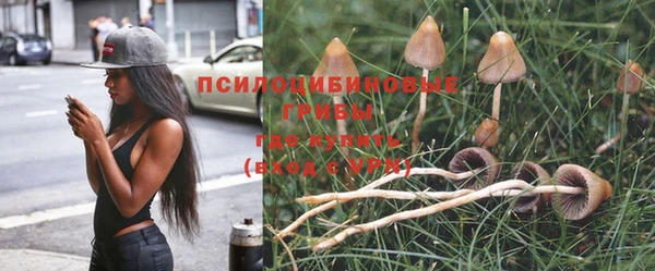 мдма Богородицк