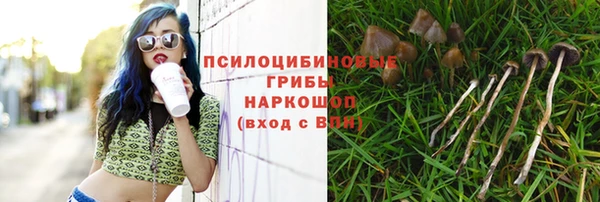 прущий лед Богородск
